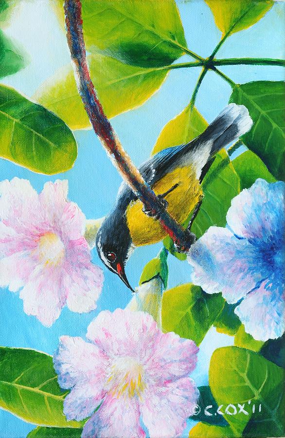 Bananaquit and white cedar Painting by Christopher Cox