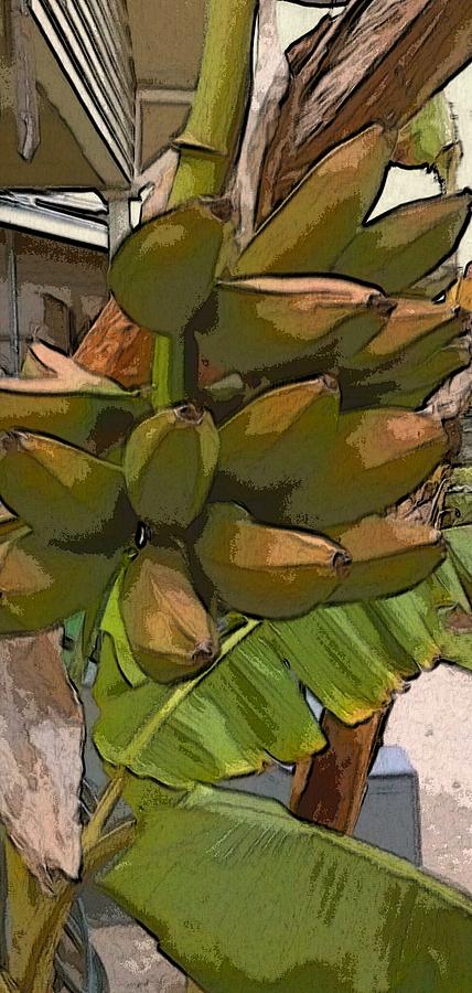 Fruit Digital Art - Bananas At My House by Ilah Watkins