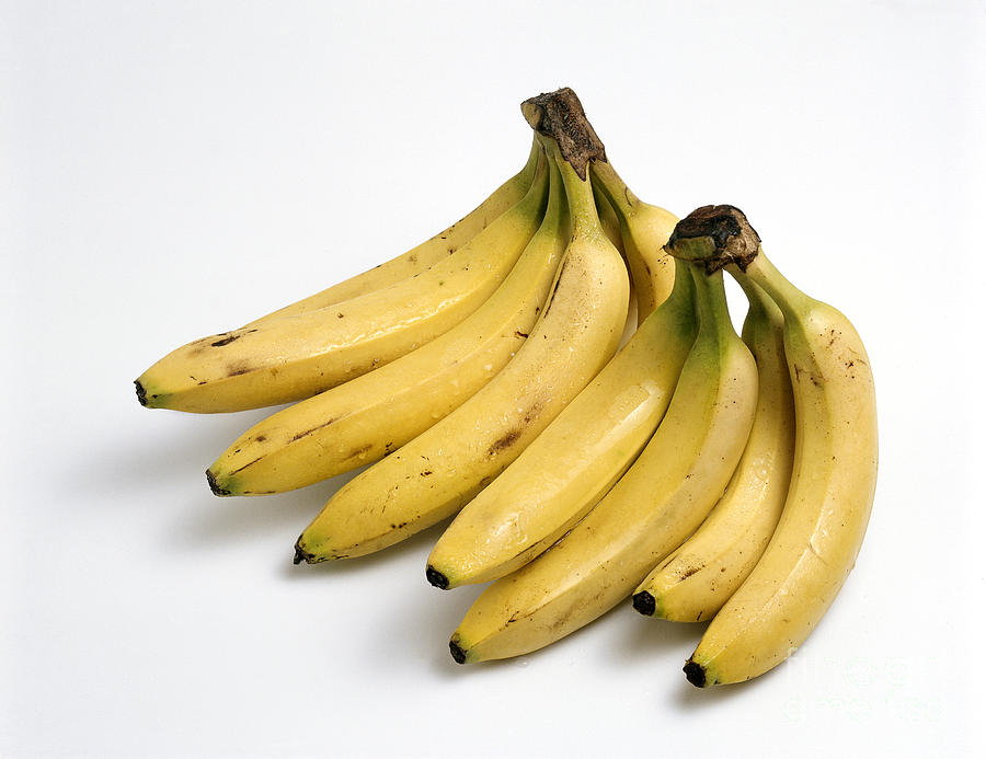 Bananas Photograph by G. Buttner/Okapia