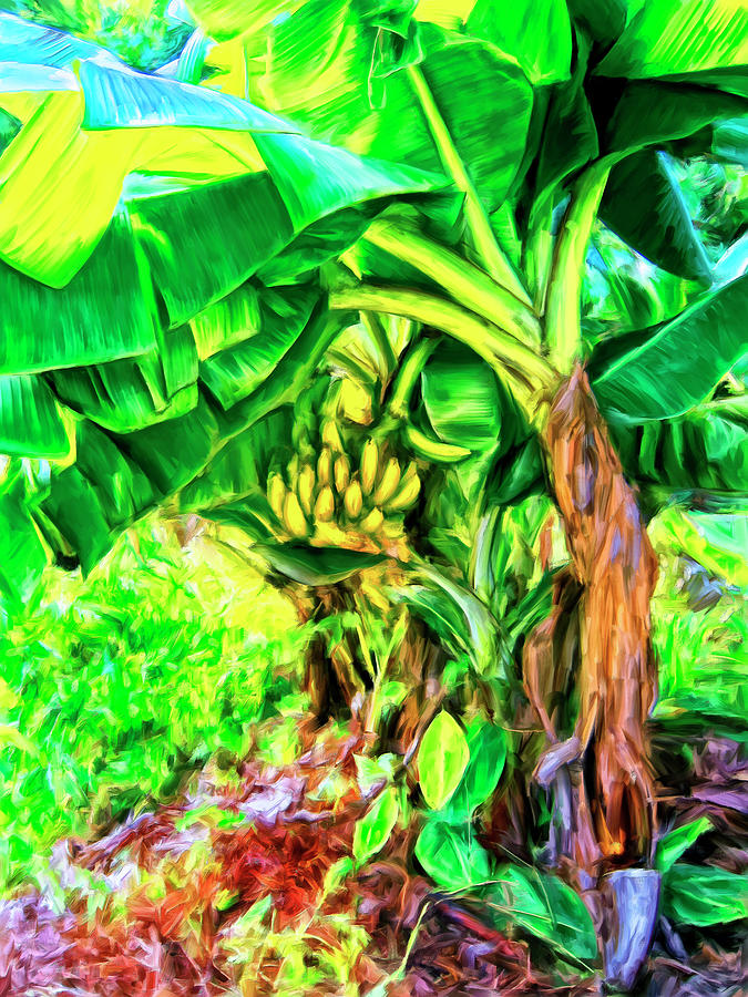 Bananas in Lahaina Maui Painting by Dominic Piperata