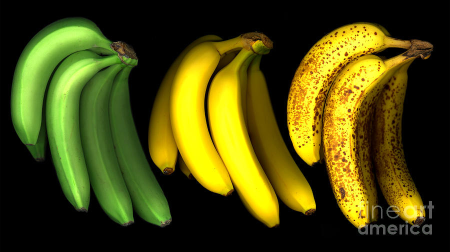 Banana Photograph - Bananas by Tony Cordoza