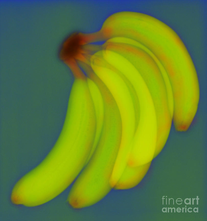 Bananas X-ray Photograph by Scott Camazine