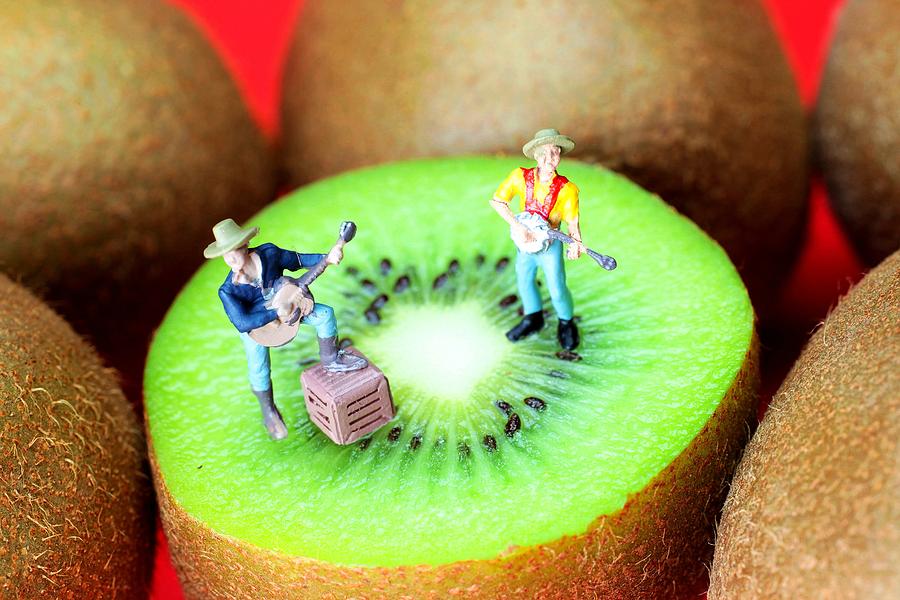 Band show on Kiwi fruits little people on food Photograph by Paul Ge