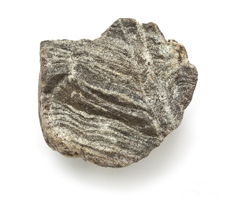 Banded Gneiss Photograph by Natural History Museum, London