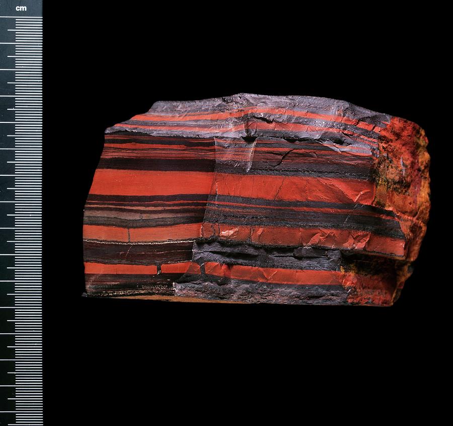 Banded Iron Specimen Photograph by Natural History Museum, London/science Photo Library