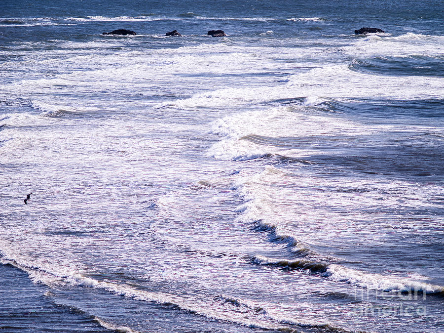 Beach Photograph - Bandon Beach Surf by Tracy Knauer