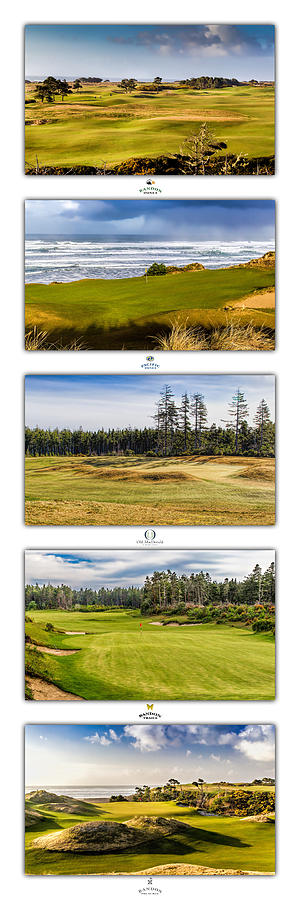 Golf Photograph - Bandon Dunes Golf Courses by Mike Centioli