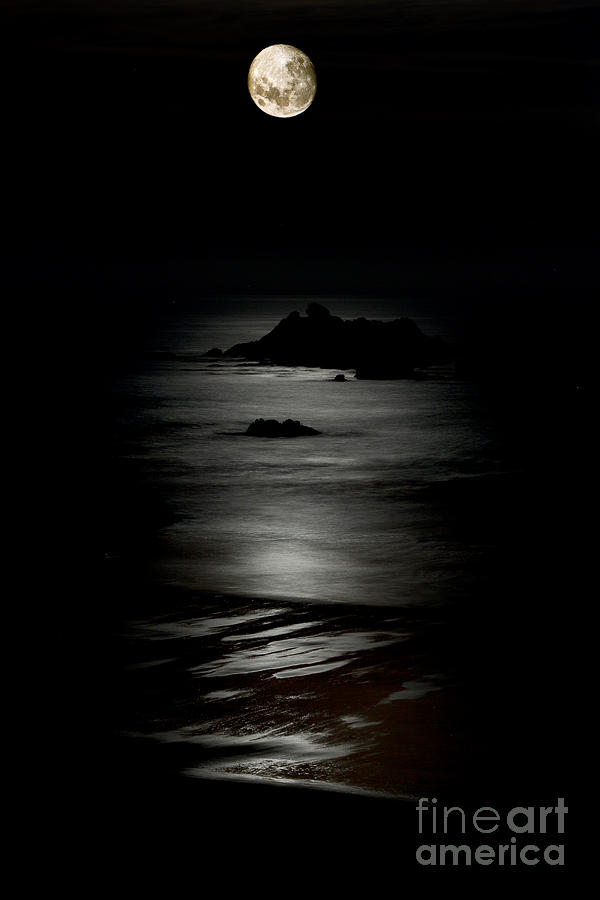 Bandon Moonset Photograph by Bill Singleton