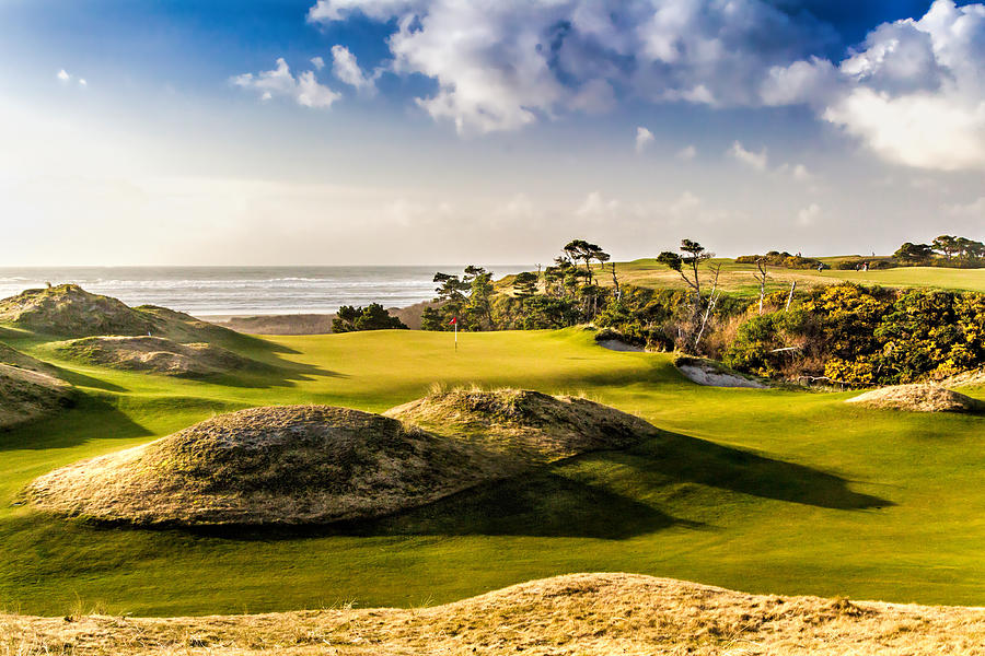 Bandon Preserve Golf Course Photograph by Mike Centioli Fine Art America