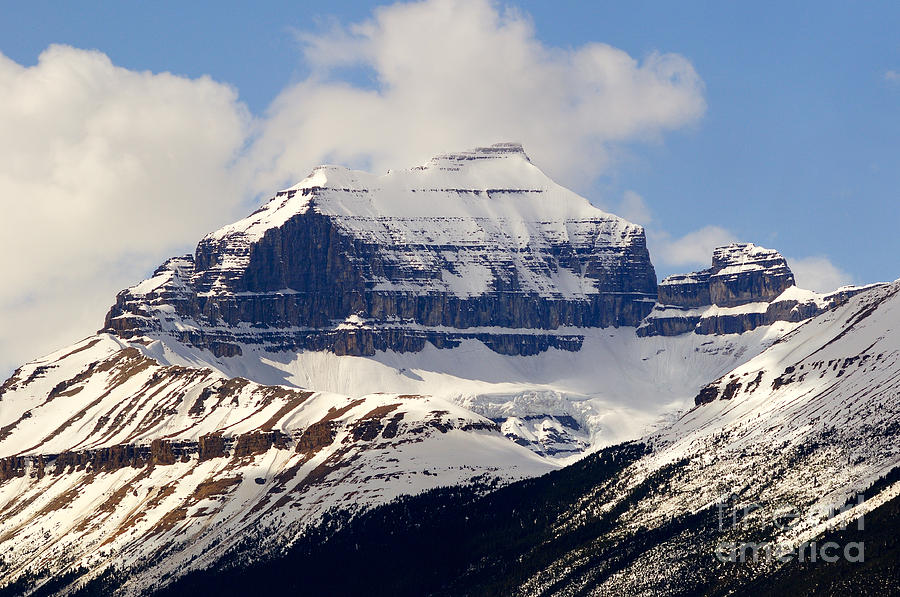 Banff - Mount Saskatchewan Photograph by Terry Elniski