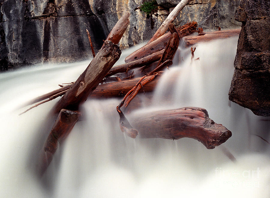 Banff - Panther Falls Logs Photograph by Terry Elniski