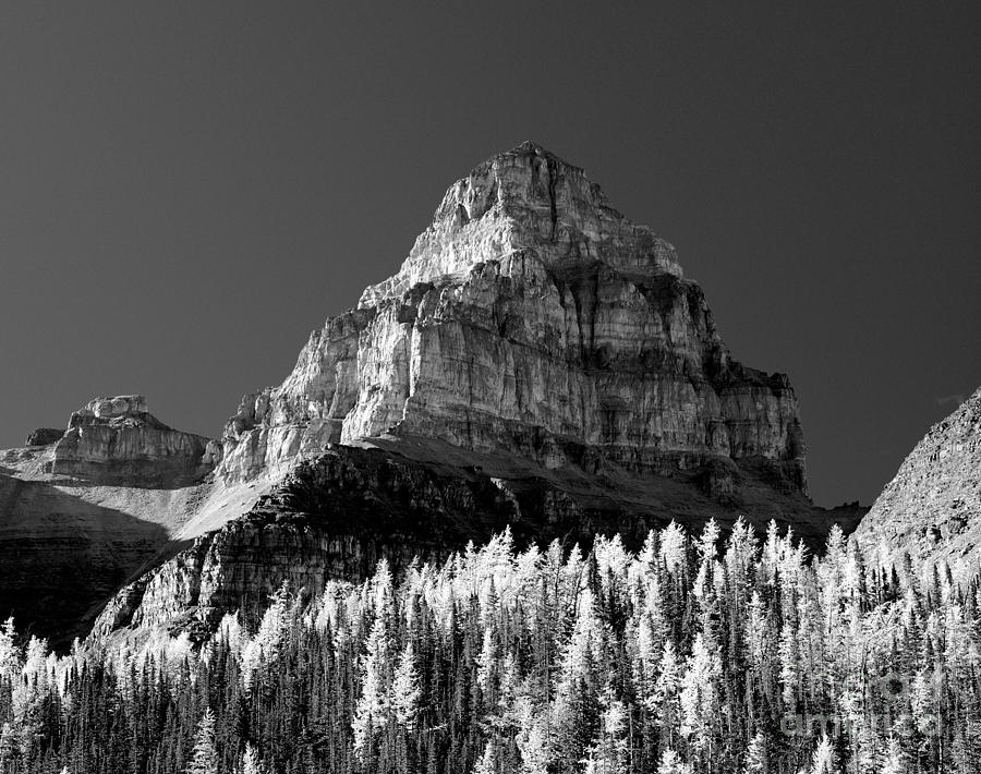 Banff National Park Photograph - Banff - Pinnancle Mountain Monochrome by Terry Elniski
