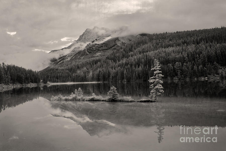 Banff Reflections Photograph by Dennis Hedberg