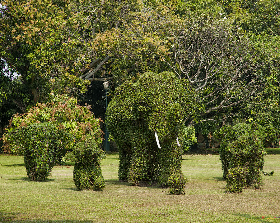 Bangkok Photograph - Bang Pa-In Royal Palace Elephant Topiary DTHA0116 by Gerry Gantt