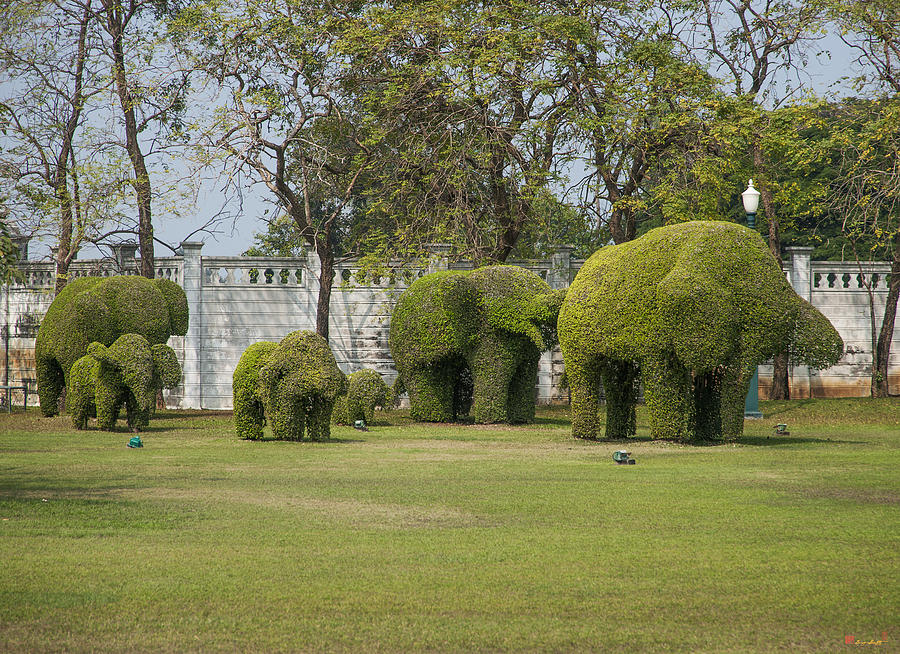 Bang Pa-In Royal Palace Elephant Topiary DTHA0118 Photograph by Gerry Gantt