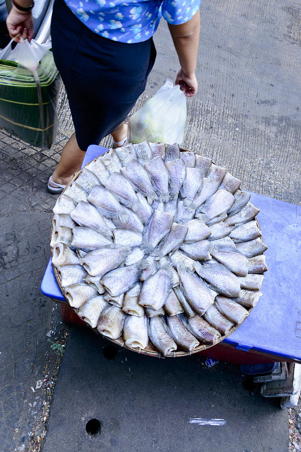 Bangkok Fish Market Photograph by Bob VonDrachek