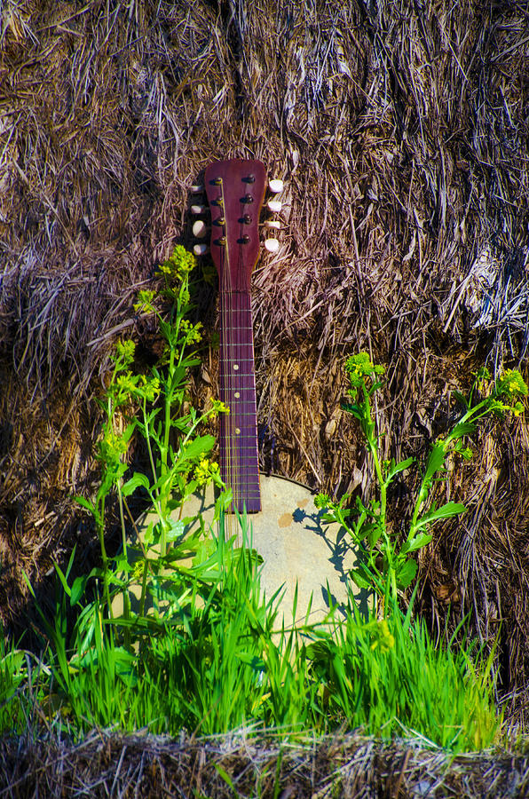 Banjo Mandolin - Real Americana Photograph by Bill Cannon