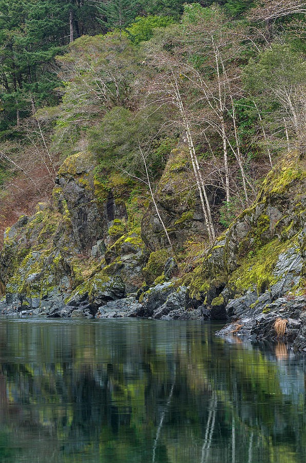 Banks of the Smith River Photograph by Greg Nyquist
