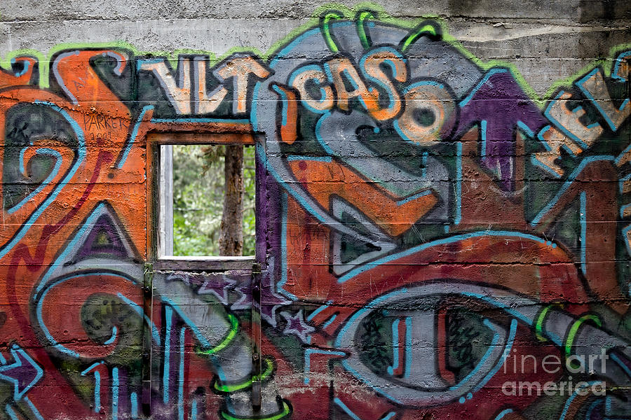Bankshead Graffiti Photograph by Edward Fielding