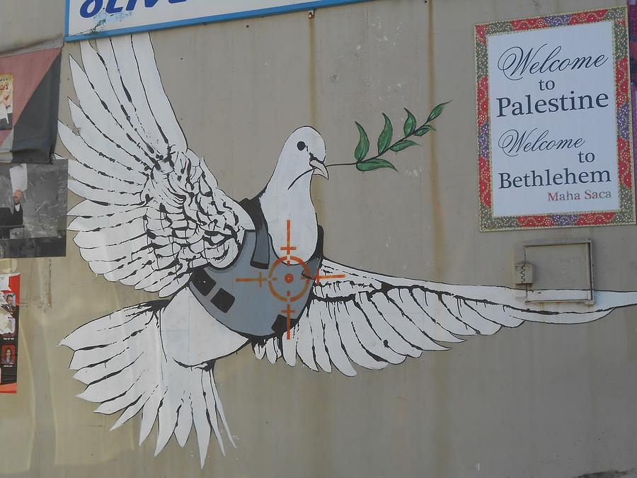 Banksy Dove In Bethlehem Photograph by Arik Bennado