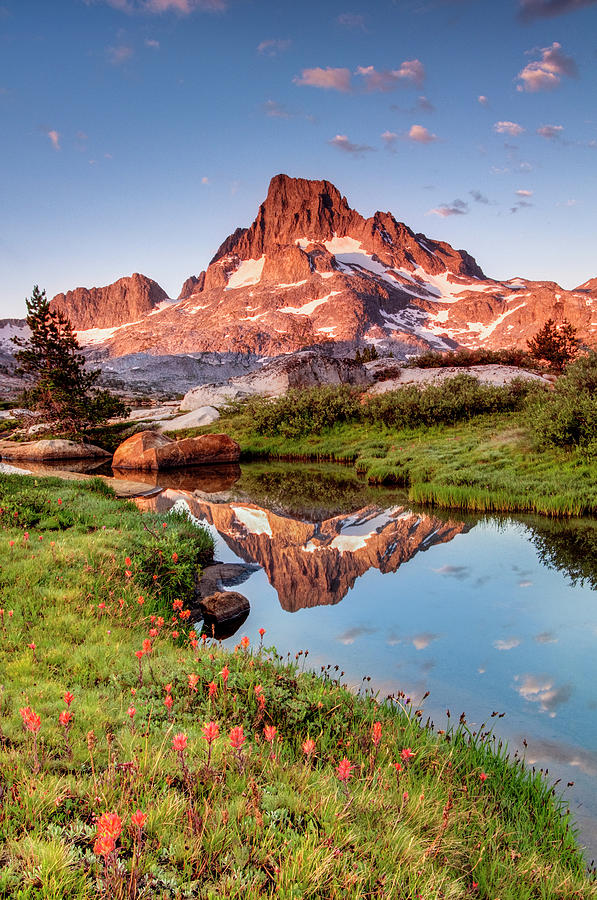 Field Of Wildflowers At Sunset Photograph by Josh Miller Photography - Fine  Art America