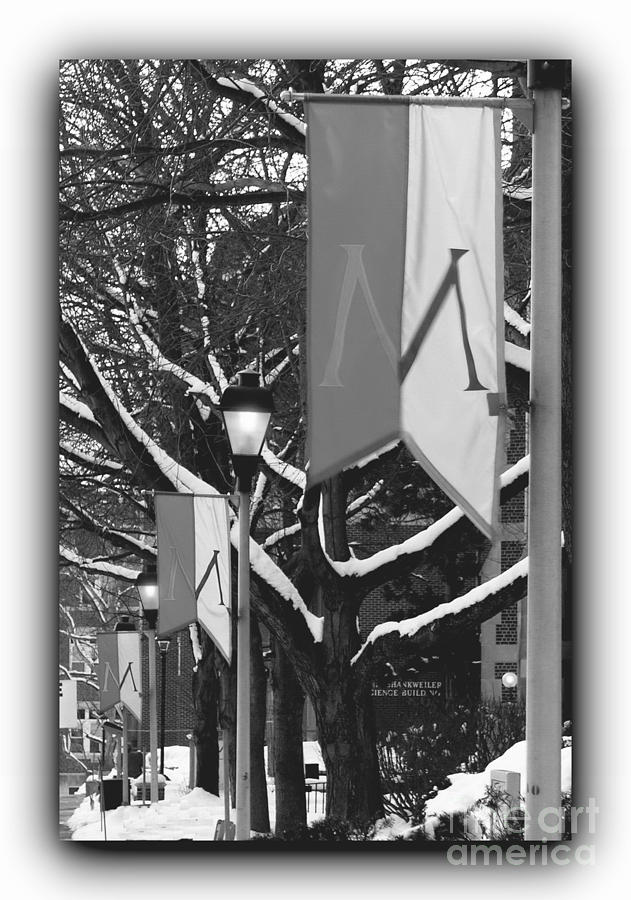 Banners with Border BW Photograph by Jacqueline M Lewis