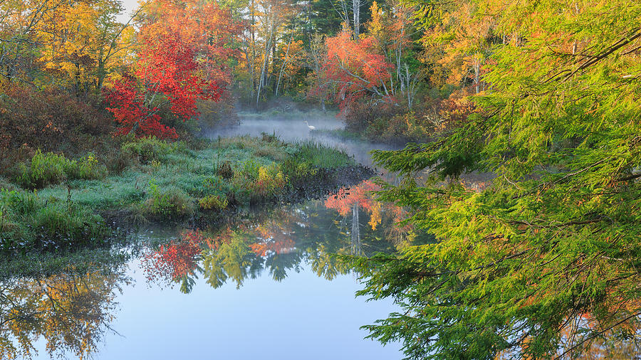 Bantam River Autumn Photograph by Bill Wakeley