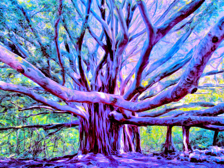 Banyan Tree Lahaina Maui Painting by Dominic Piperata