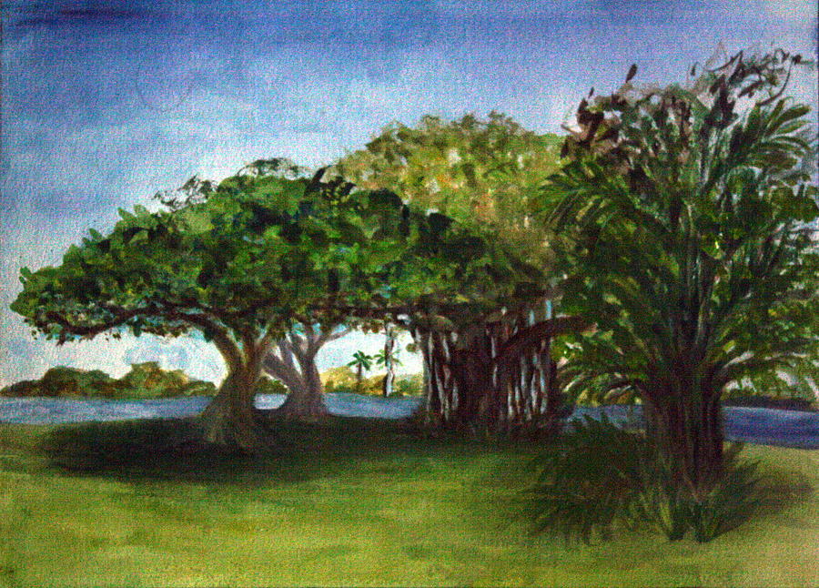 Banyon at Lake Ida East Park Painting by Donna Walsh