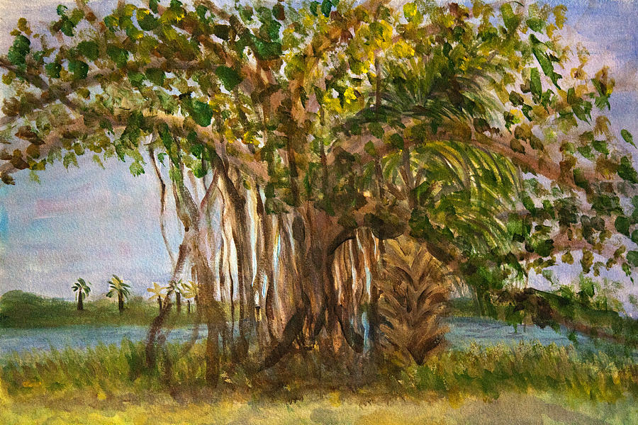 Banyon Tree at Lake Ida East Park Painting by Donna Walsh