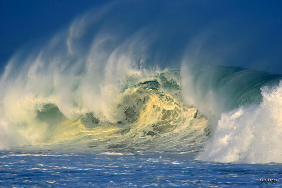 Banzai Pipeline Crashing Wave Photograph by Aloha Art