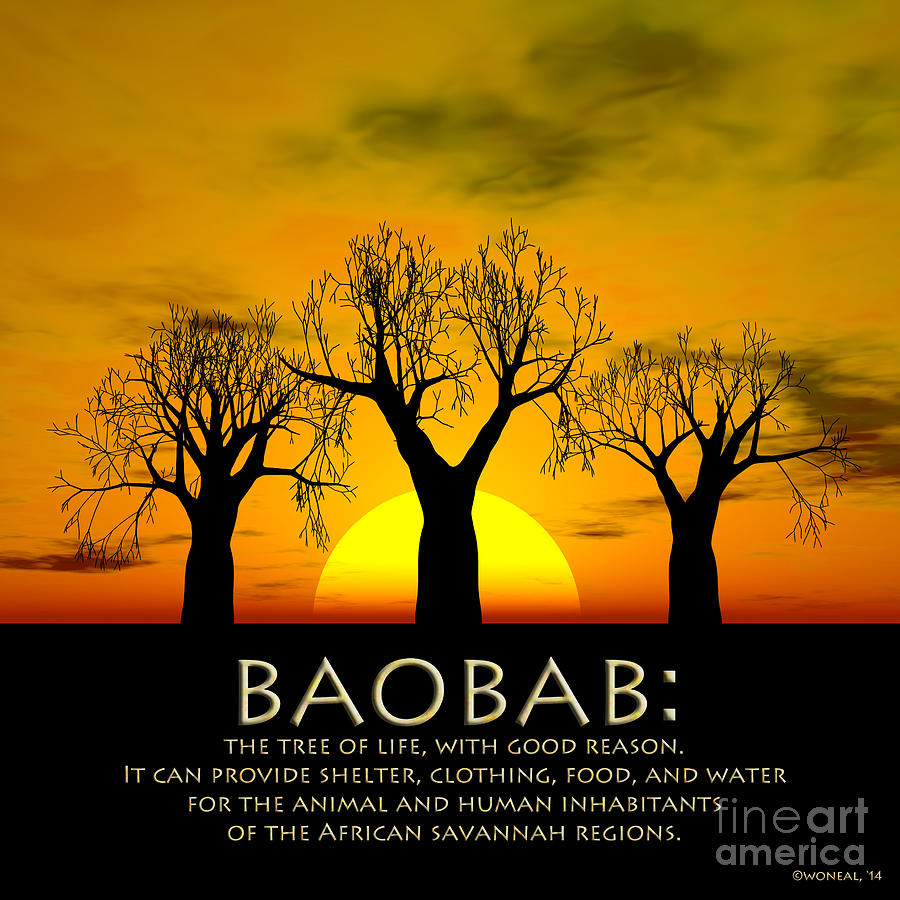 Tree Digital Art - Baobab - The Tree Of Life by Walter Neal