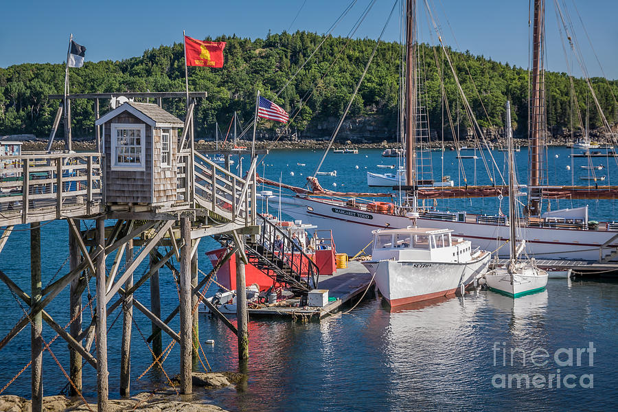 Bar Harbor Boats Photograph by Susan Cole Kelly