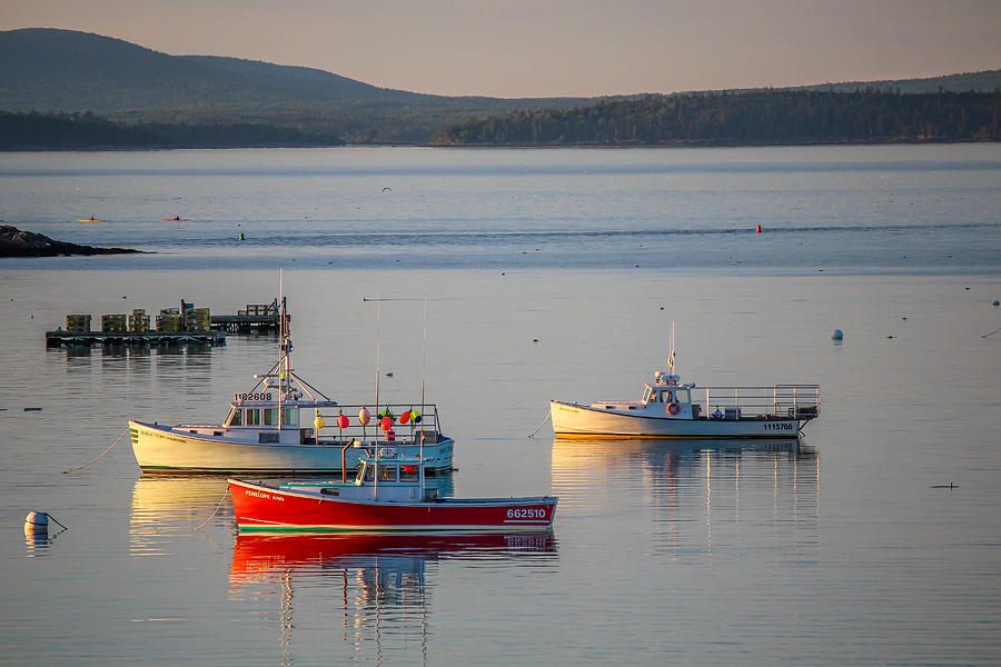 Bar Harbor Boats Photograph by Trace Kittrell - Pixels