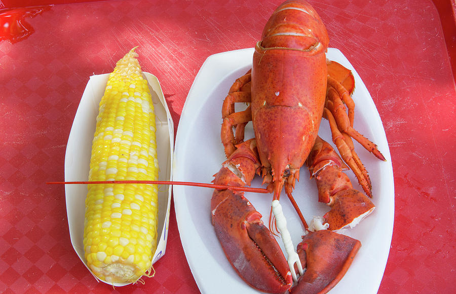 Bar Harbor, Maine, Traditional Lobster Photograph by Bill Bachmann