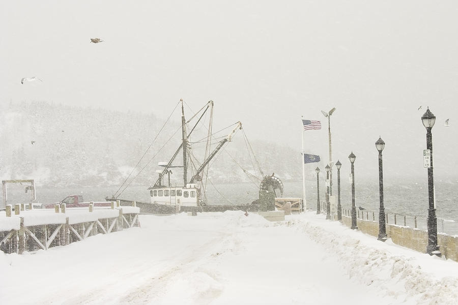 Winter Photograph - Bar Harbor Snowstorm and Fishing Boat Mount Desert Island Maine by Keith Webber Jr