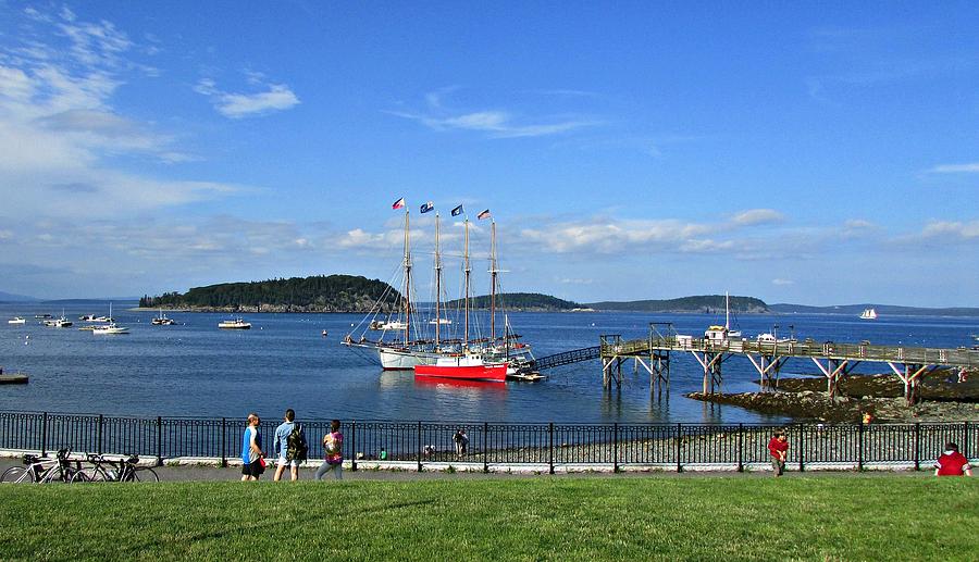 Bar Harbor Photograph by Vikki DePietro - Fine Art America