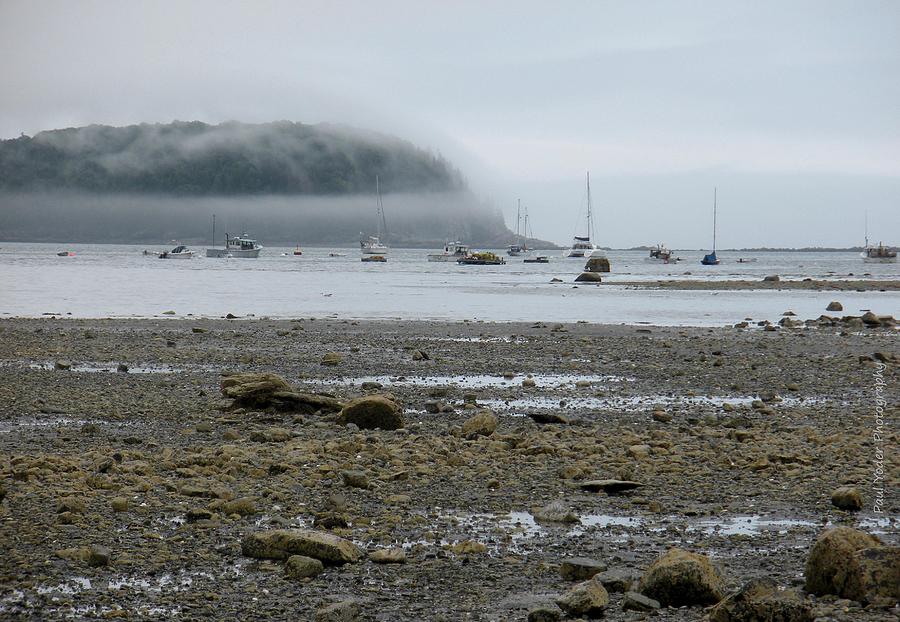 bar island sandbar        
        <figure class=