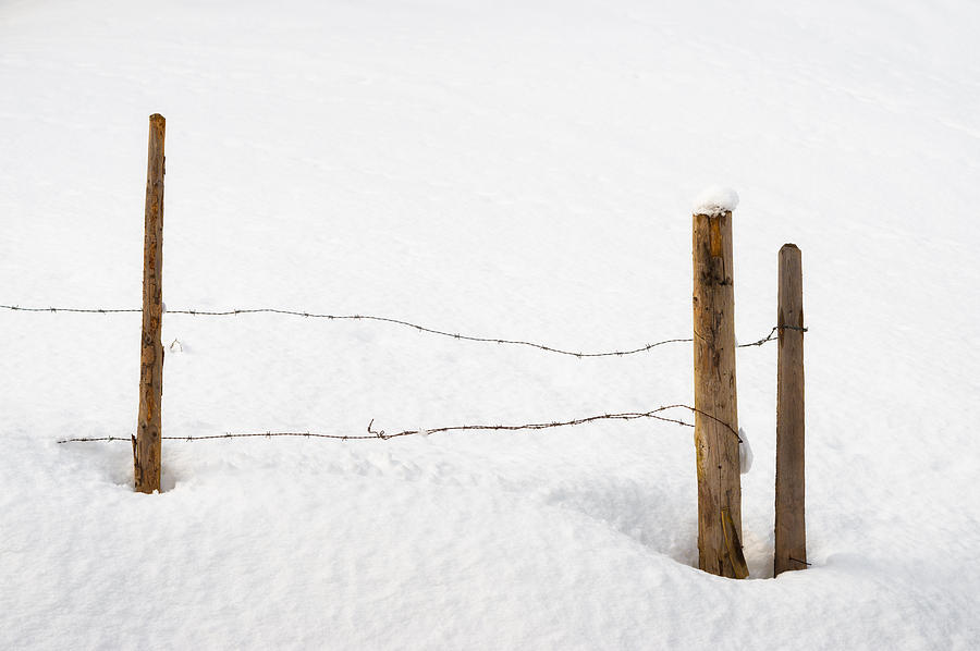 Barb wire fence in winter minimalist image Photograph by Matthias Hauser