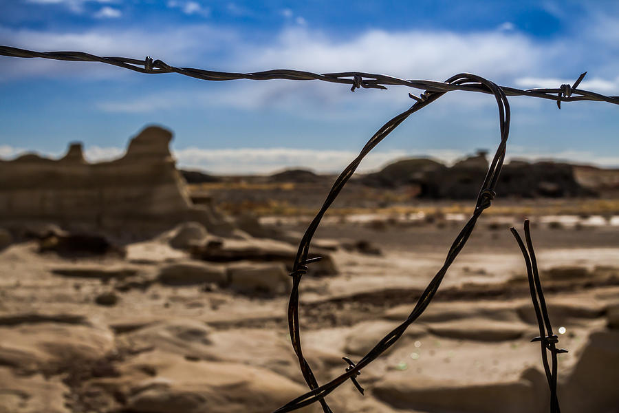 Barb Wire Photograph by Ron Pate