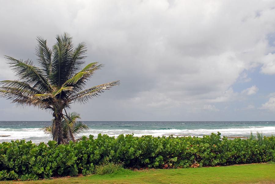 Barbados and the Ocean Photograph by Willie Harper