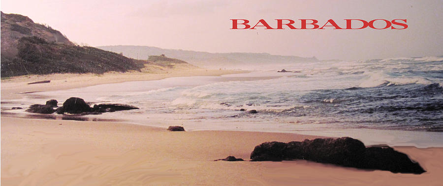 Barbados Bathsheba Poster Photograph by Ian  MacDonald
