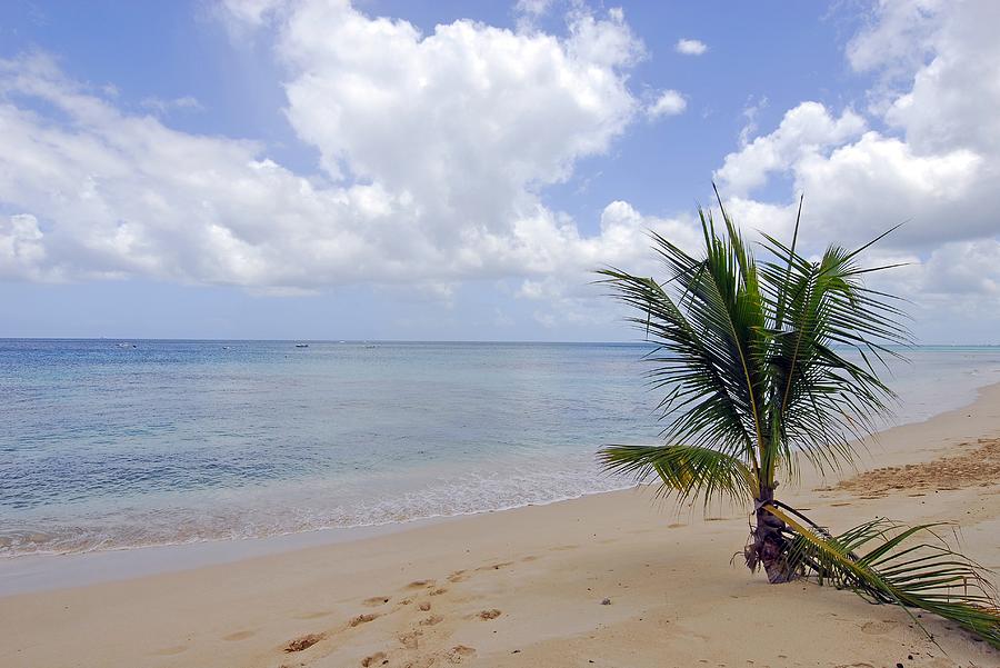 Barbados Beach Photograph by Willie Harper