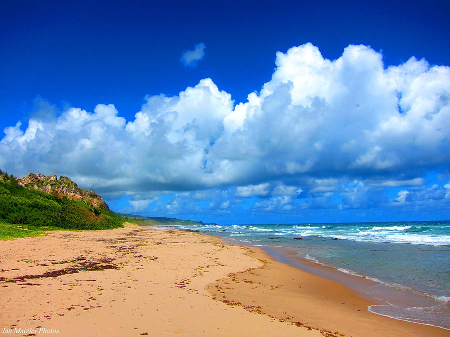 Barbados Paradise Photograph by Jan Maizler - Fine Art America