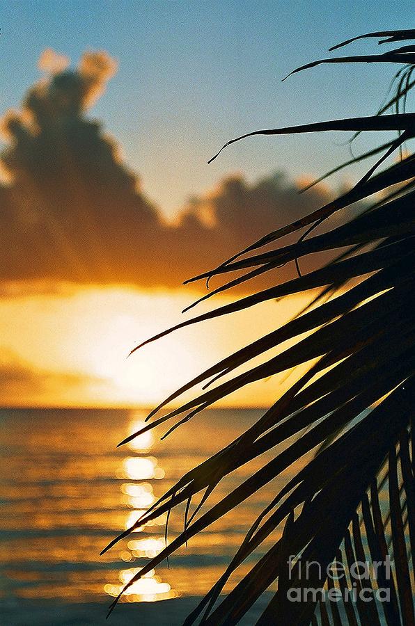 Barbados Sunset Photograph By David Gardener Fine Art America