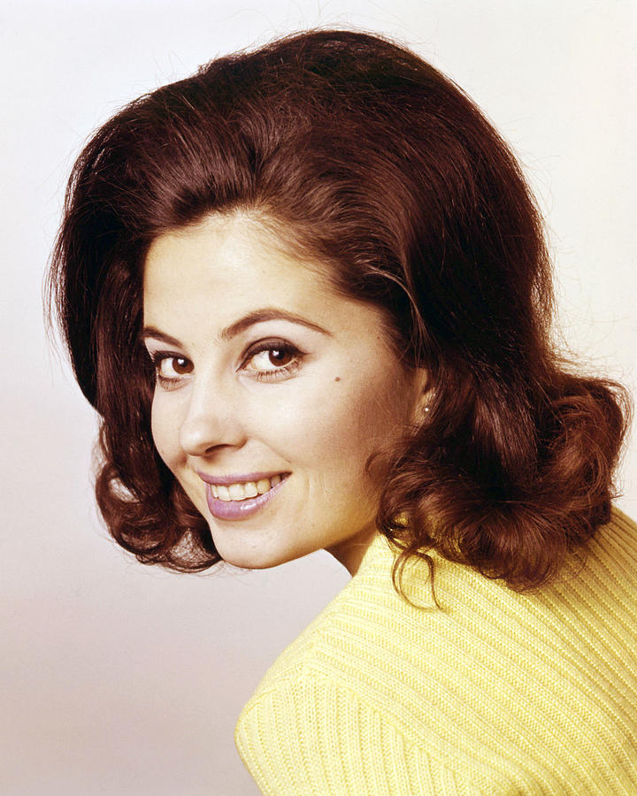 Barbara Parkins in Peyton Place  Photograph by Silver Screen
