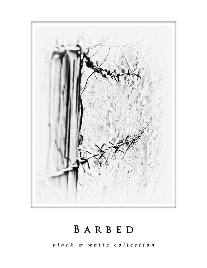Barbed  black and white collection Photograph by Greg Jackson