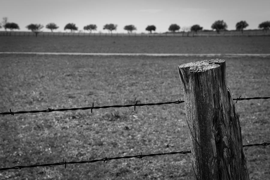 Barbed Horizon Photograph by Dwight Theall