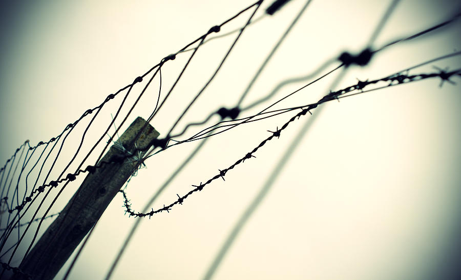 Barbed Photograph by Off The Beaten Path Photography - Andrew Alexander