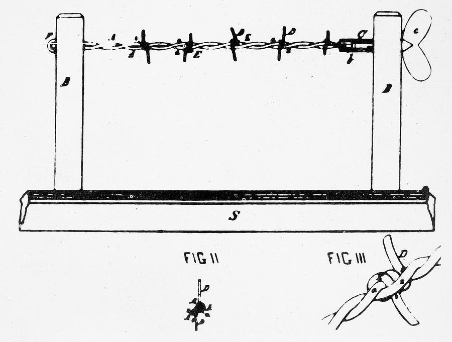 Barbed Wire, 1874 Drawing by Granger